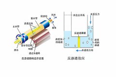 RO膜是什么